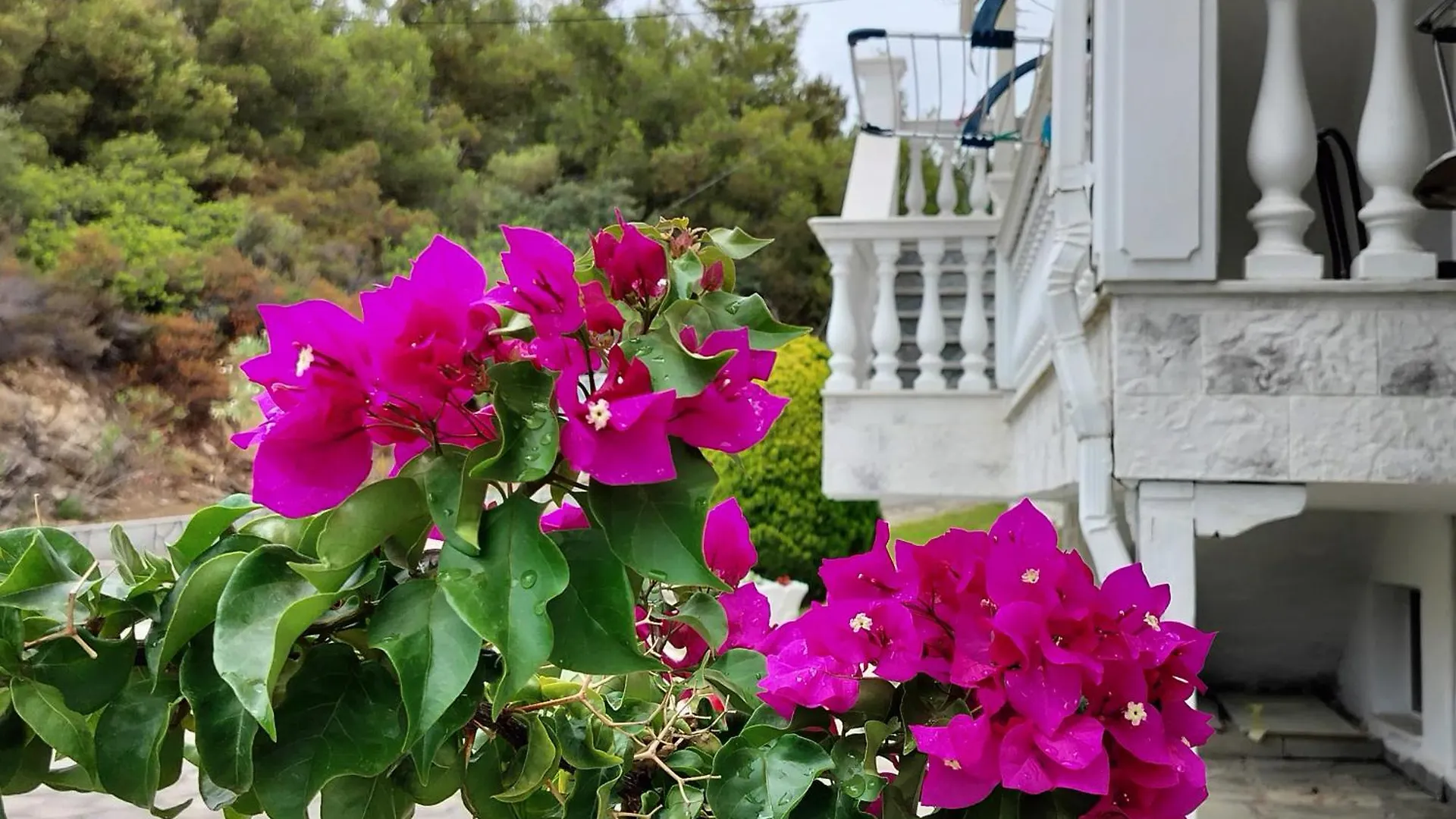 Apartamento Althea Three - Sithonia Chalkidiki 250M From The Beach Akti Salonikiou